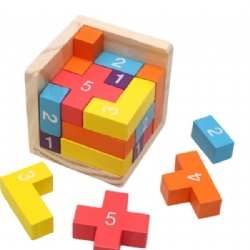 Colorful Wooden Puzzle Blocks